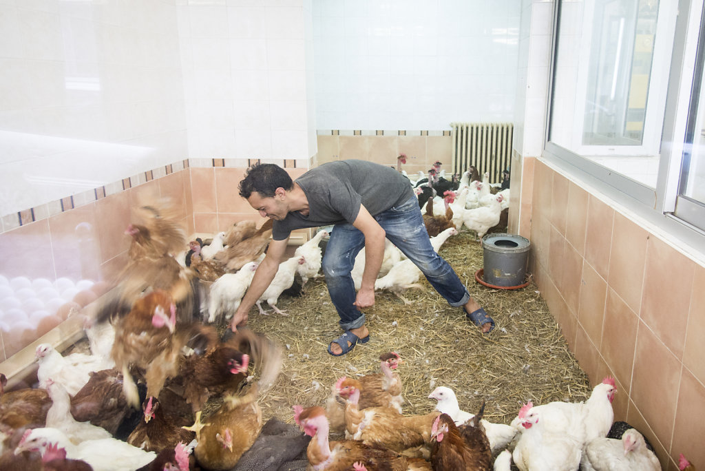 La Ferme Parisienne 